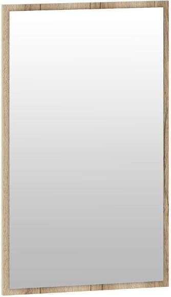 НМ 040.01-01 зеркало Арден Дуб Делано