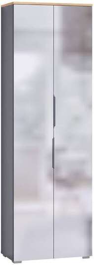 Шкаф для одежды Октава 13.338, Серый графит, Дуб золотой
