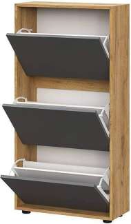 Обувница ОБ 4, Дуб золотой, Графит