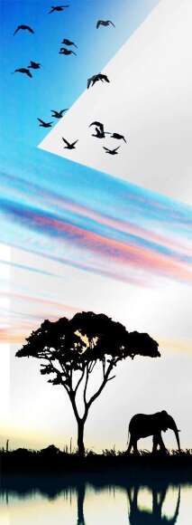 Гладильная доска трансформер Shelf.On Астра МИНИ ПРИНТ art.5759 Гладильная доска трансформер Shelf.On Астра МИНИ ПРИНТ art.5759