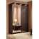 Шкаф-купе 1600 с зеркалом Домашний Глазов-мебель (Венге)