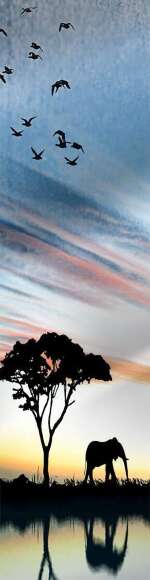 Гладильная доска трансформер Shelf.On Табула ПРИНТ art.5831 Гладильная доска трансформер Shelf.On Табула ПРИНТ art.5831