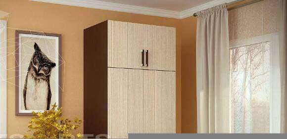 Шкаф двухдверный с перегородкой БТС (Венге/Лоредо) Шкаф двухдверный с перегородкой БТС (Венге/Лоредо)