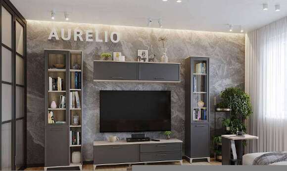 Шкаф МЦН Аурелио 1 (Глазов) Антрацит