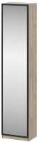 Дверь зеркальная для шкафа Этна СЗ 2236х496 Дверь зеркальная для шкафа Этна СЗ 2236х496