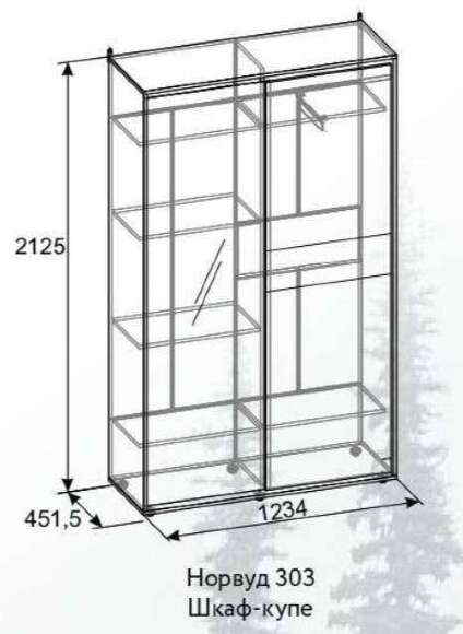 Шкаф-купе Норвуд 303 Глазов-мебель