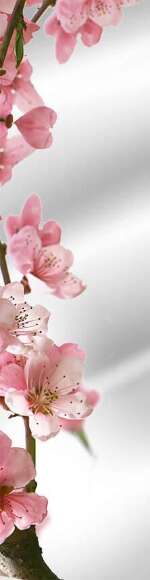 Гладильная доска трансформер Shelf.On Табула L ПРИНТ art.5837 Гладильная доска трансформер Shelf.On Табула L ПРИНТ art.5837