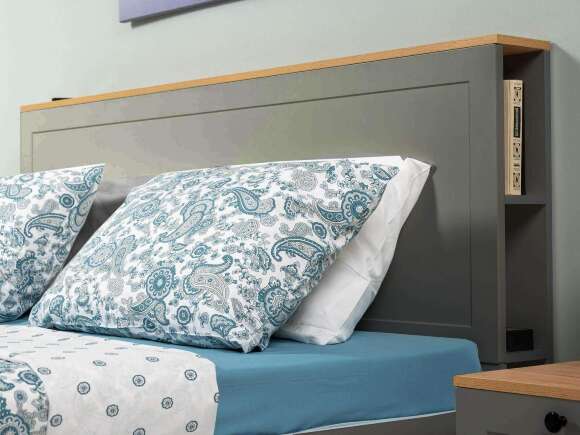 Остин Кровать 11.53 графит/дуб золотой