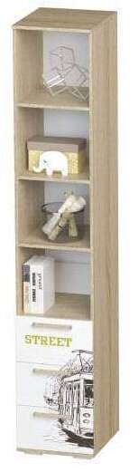 Шкаф-пенал для девочек Сенди ПН-04 БТС STREET GIRL