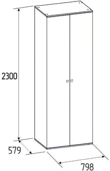 Шкаф для одежды с зеркалом Neo 54 (Глазов) Дуб Шавиниган