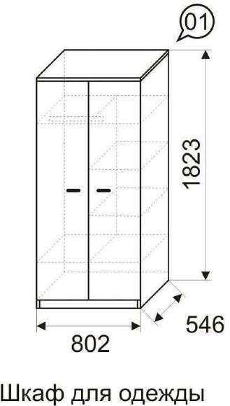 Шкаф для одежды Принцесса 1