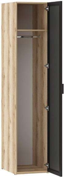 200.02 шкаф для одежды (зеркало) Арден Дуб Делано / черный 200.02 шкаф для одежды (зеркало) Арден Дуб Делано / черный