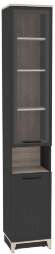 Шкаф-пенал для книг Аурелио 9 (Глазов) Антрацит
