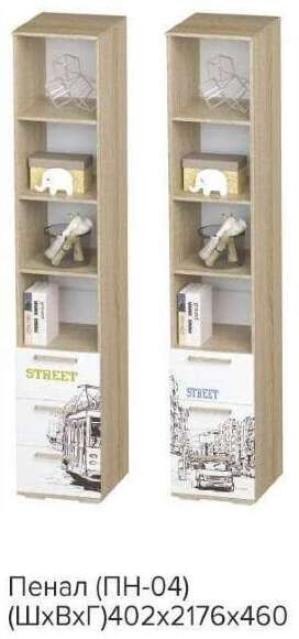 Шкаф-пенал для мальчиков Сенди ПН-04 БТС STREET BOY