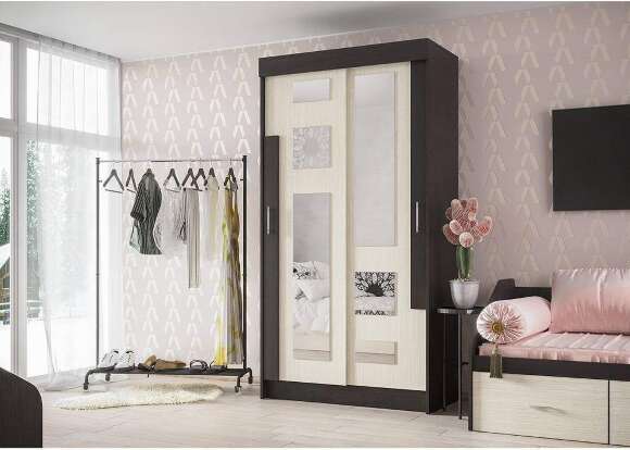 Шкаф-купе Феникс Шкаф-купе Феникс