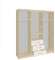 Шкаф-купе Фортуна (1,7), Венге, дуб молочный