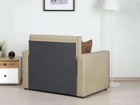 Найс Р (85)  диван-кровать арт. ТД 295