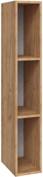 Альберо Пенал открытый настенный дуб крафт золотой