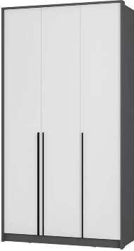 Шкаф трехстворчатый Шарм ШК-10, Графит, Белый