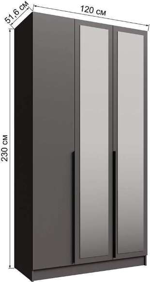 Распашной шкаф с зеркалом Мадрид 1,2, Графит серый Распашной шкаф с зеркалом Мадрид 1,2, Графит серый