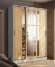 Шкаф-купе 1600 Стиль-2 (ТЭКС) Белый / Дуб Крафт золотой