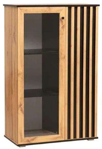 Шкаф комбинированный Либерти 51.03 (опора h20) Дуб вотан/Черный