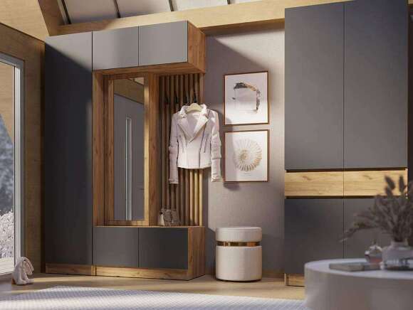 Шкаф 2-дверный Роджина (Графит)